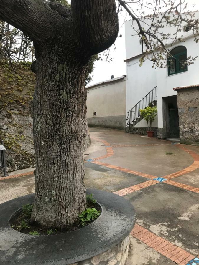 Maison Rosa Positano Zewnętrze zdjęcie