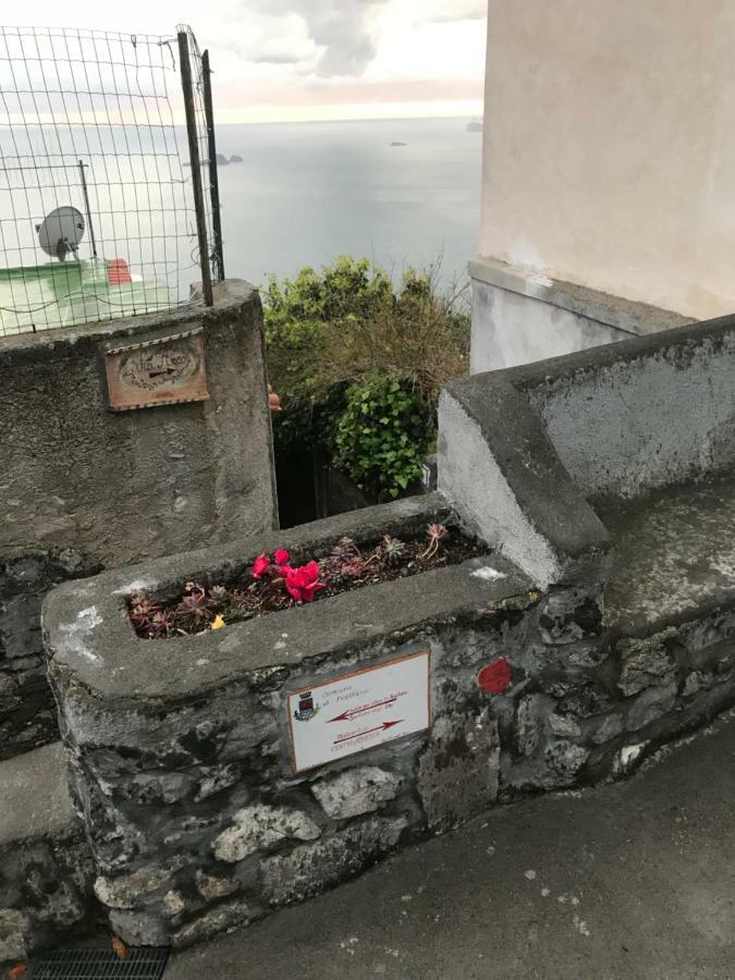 Maison Rosa Positano Zewnętrze zdjęcie